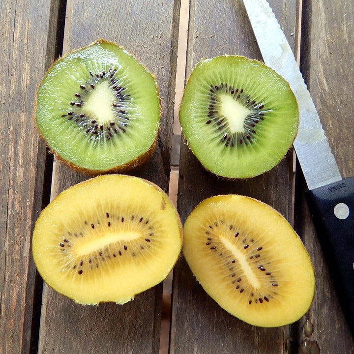 Actinidia-deliciosa-Golden-Kiwi