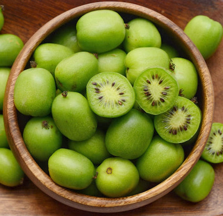 Kiwi - Actinidia arguta 'Issai'