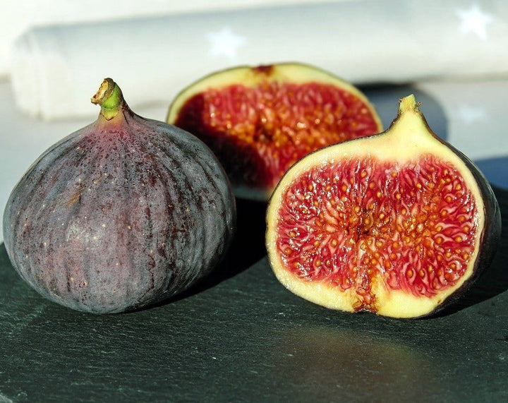 Ficus carica 'Rouge De Bordeaux'