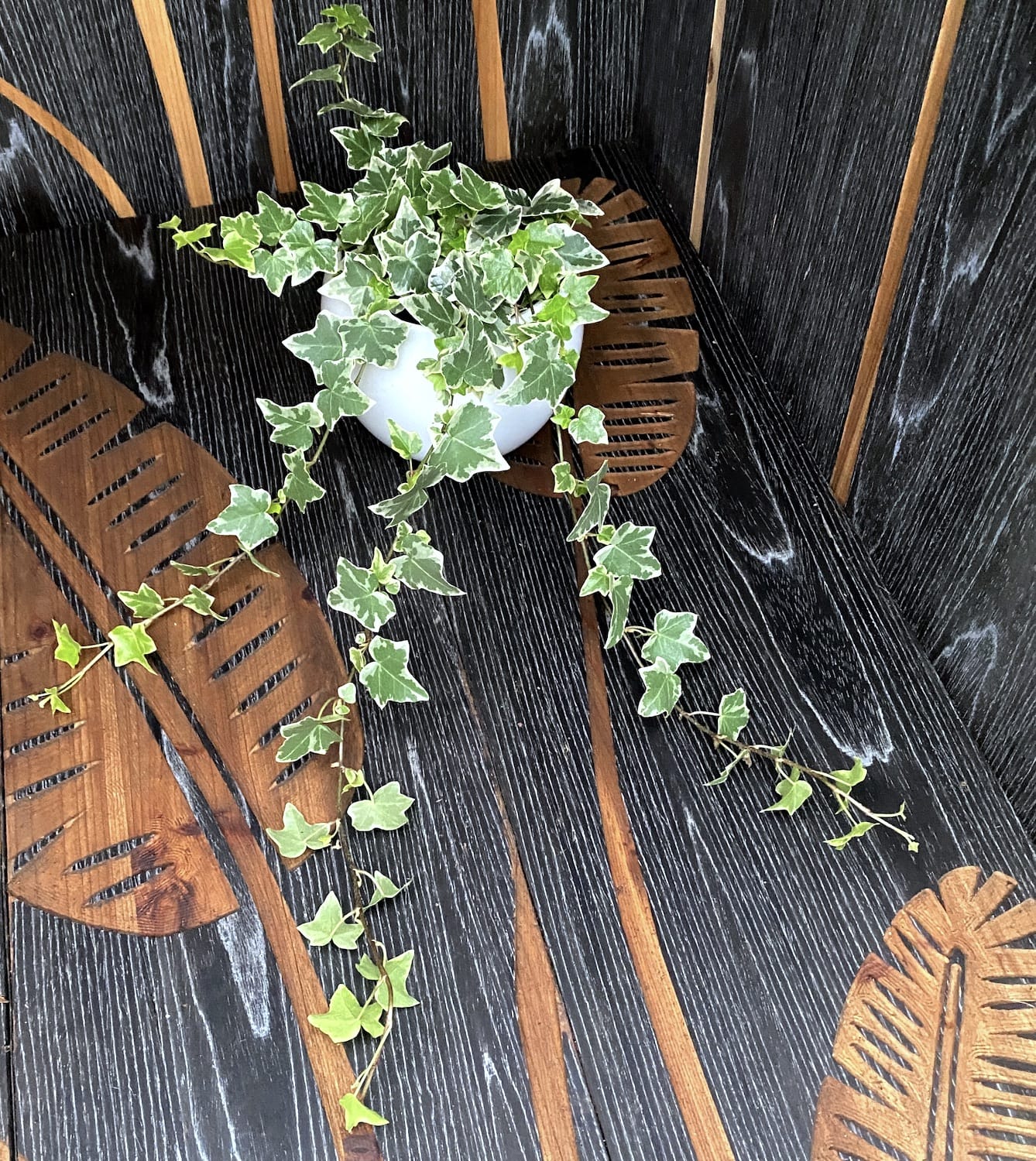 Iedera - Hedera helix 'Ingelise' (3-4 plante/ghiveci)