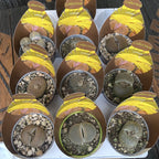 Lithops mix mini - flori galbene