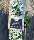 Passiflora 'Beauty of Hannover' (szenvedélyvirág)