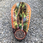 Sauromatum Venosum 'Voodoo Lily'