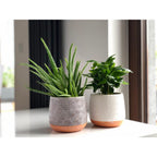 Dekorativ vas Savona D15 cm, H13 cm