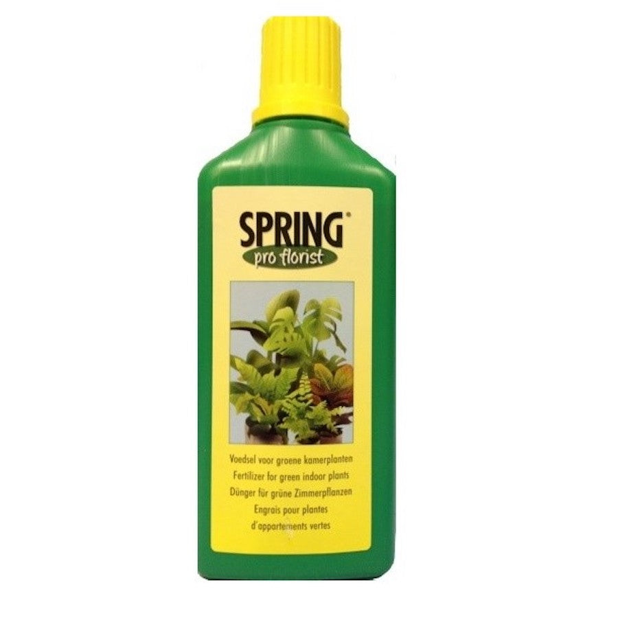 Fertilizant plante verzi Spring NPK 10-4-7 500ml