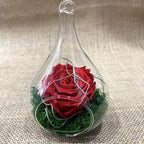 Vaso di vetro per terrario - forma a goccia