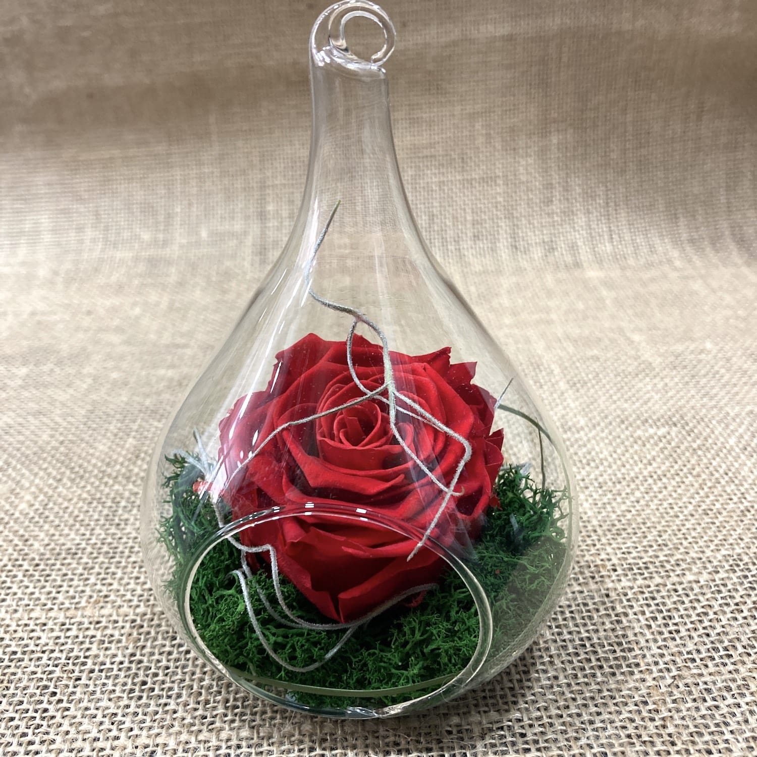 Vas sticla terrarium - forma de lacrima