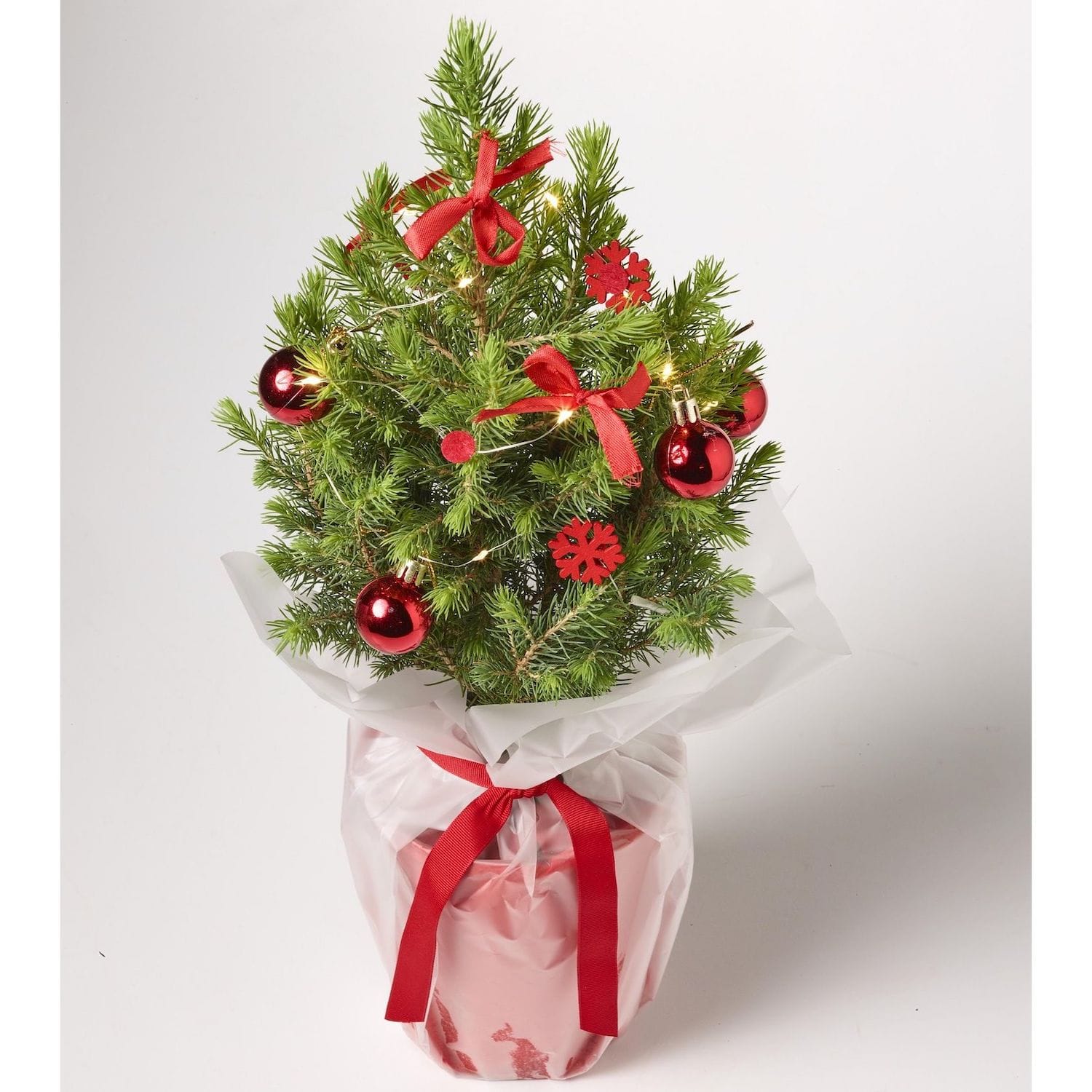 Brad natural impodobit si cu instalatie luminoasa H40-50 cm