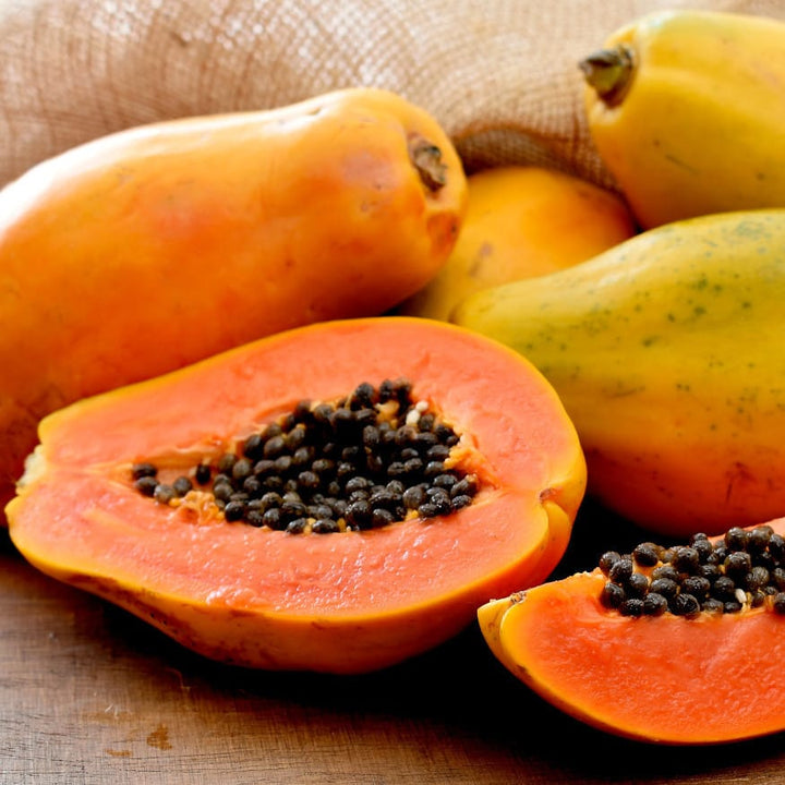 Papaya carica