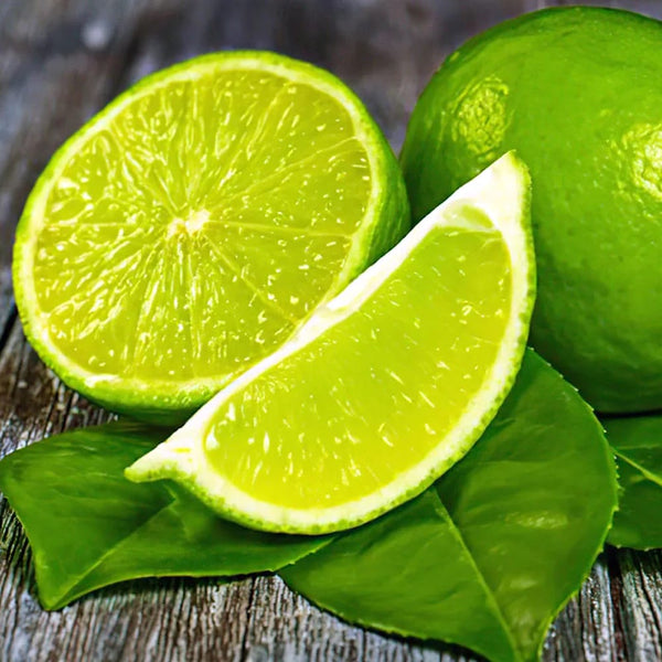Lime in ghiveci, sau lamai verde - Citrus aurantifolia 'Mexican Lime'.