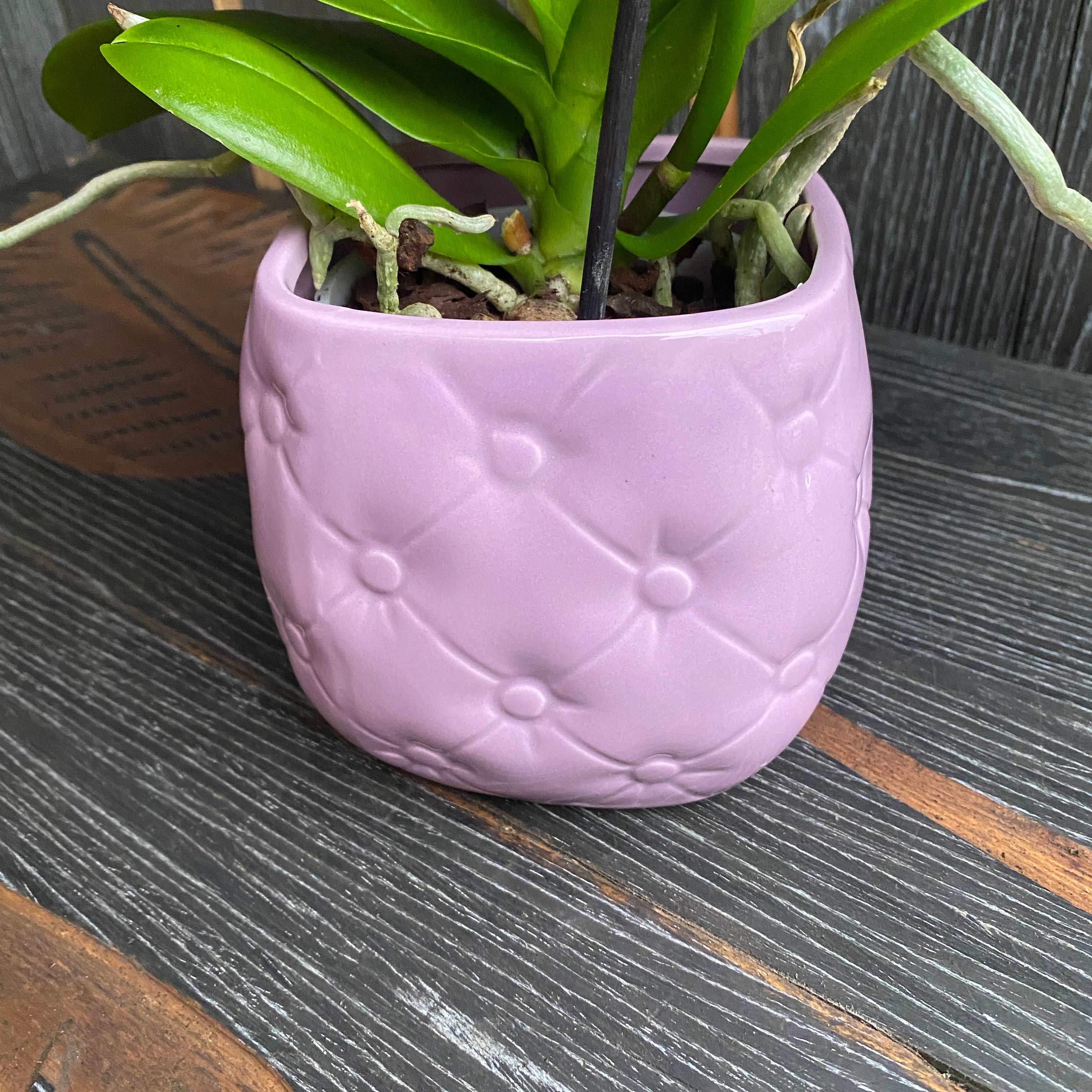 Vas decorativ din ceramica Chesterfield Pink D9