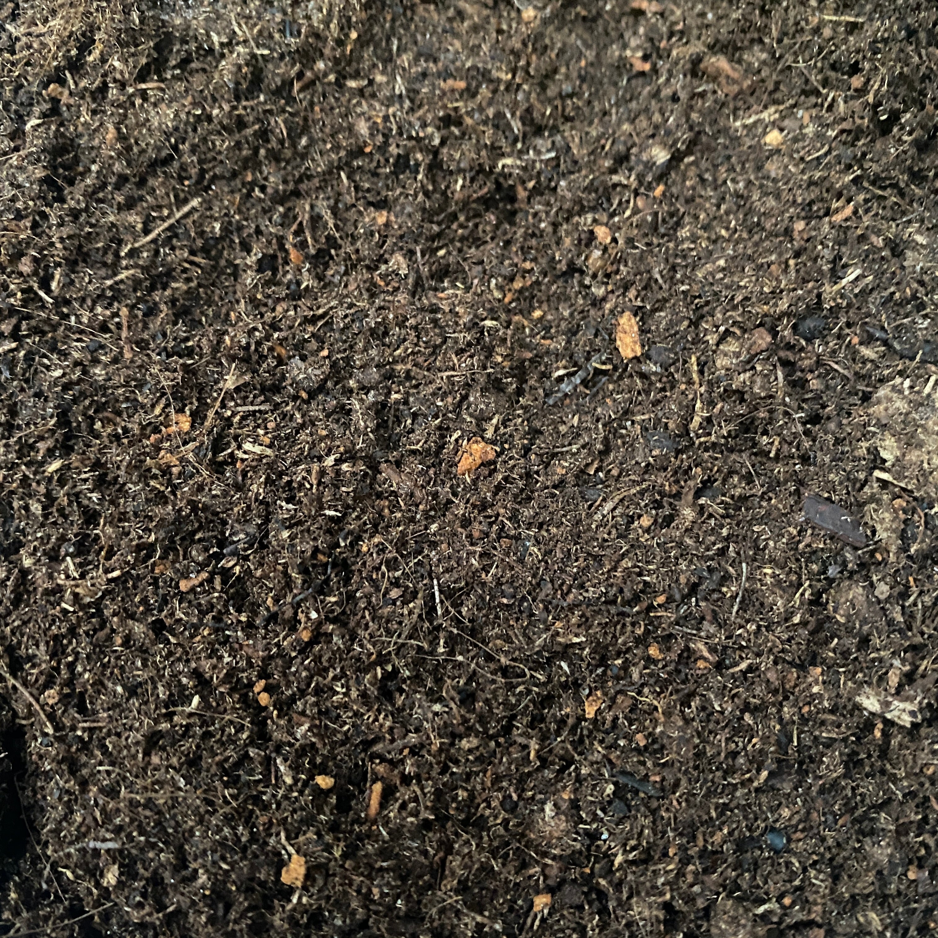 Substrat fulgi de nuca de cocos (turba)