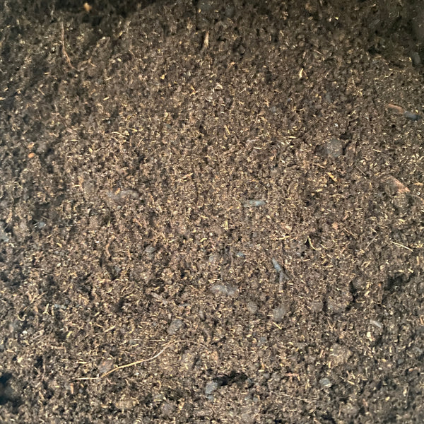 Acidic black peat (PH 3.5-4.5)