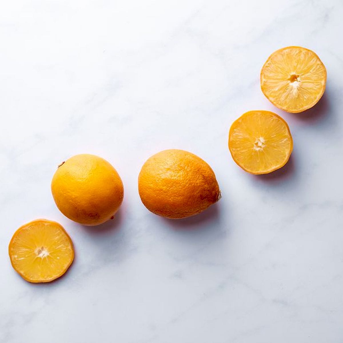 Lamai - Citrus lemon 'Meyer' (Lisa) * exemplare tinere