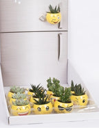 Vas kerámia mosolygós mágnessel